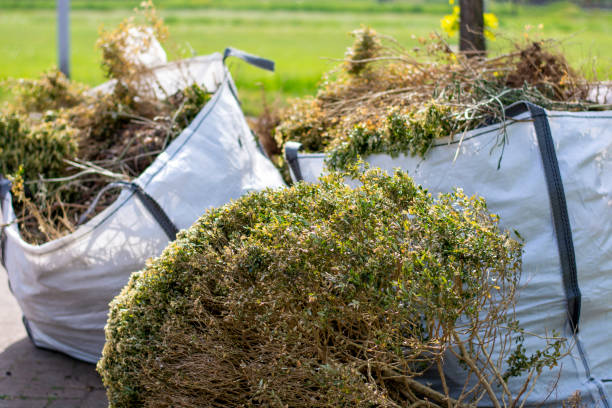 Best Local Junk Hauling  in Woodson Terrace, MO